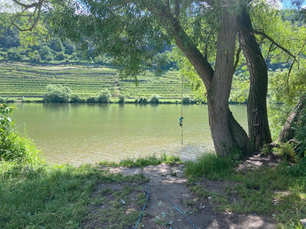Lieblingsplatz Koblenz Villa Koblenz  Dış mekan fotoğraf